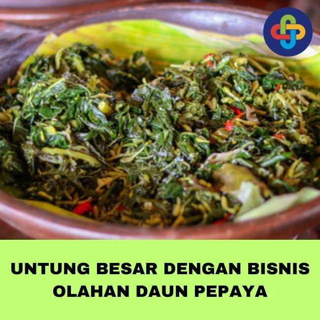 Untung Besar Dengan Bisnis Olahan Daun Pepaya